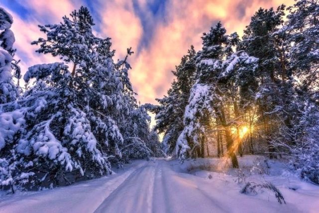 Зима, Зимняя дорога в лесу