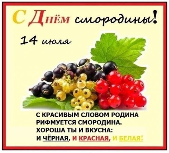 с днем смородины, день смородины