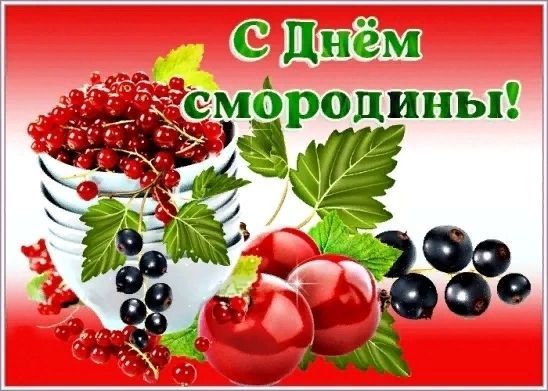 с днем смородины, день смородины