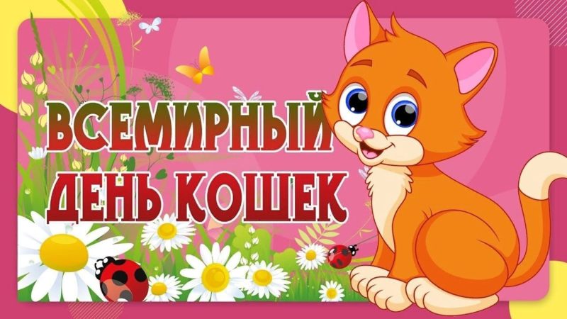 День кошек