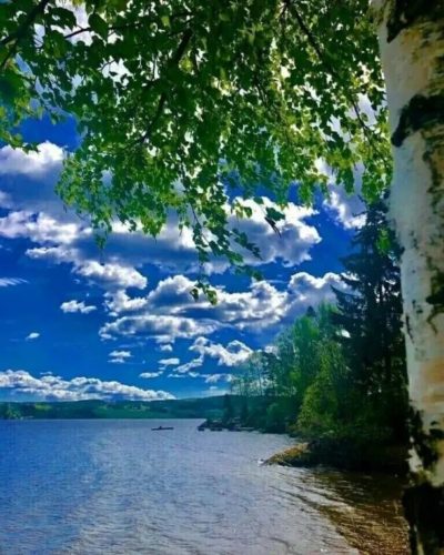 Красивый пейзаж, озеро, береза, река, синее небо