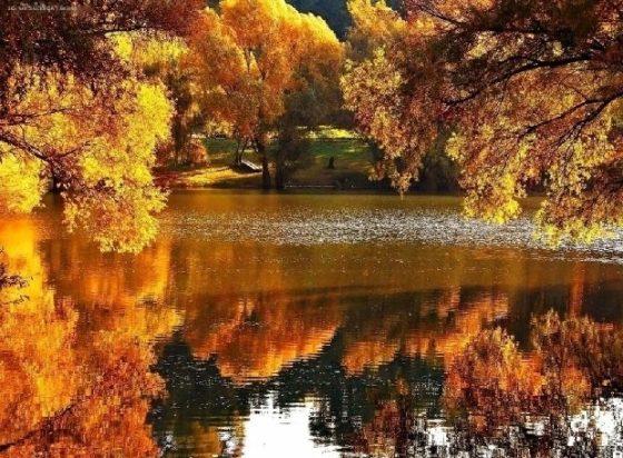 Осень красавица, золотая осень, осень в лесу и на речке