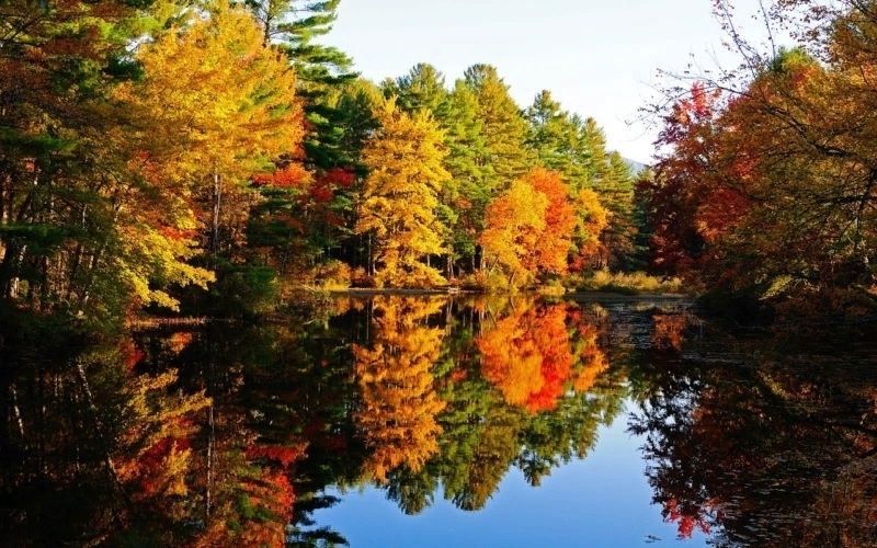 Осень, лес, река, пейзаж, природа