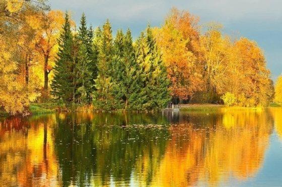 осень, осеннее озеро, осень золотая на реке, тихая спокойная осень