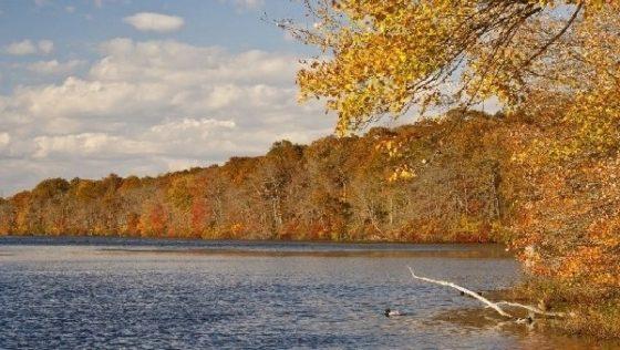 Осень Река в Бежецком районе Тверской области