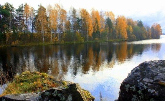 осень в Карелии, Онежский сентябрь