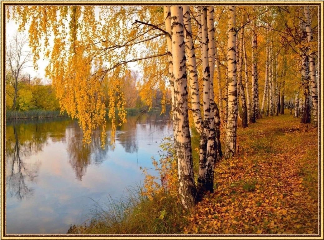 Осенняя береза у реки, Осень, Золотая Осень