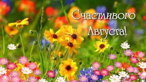 счастливого августа