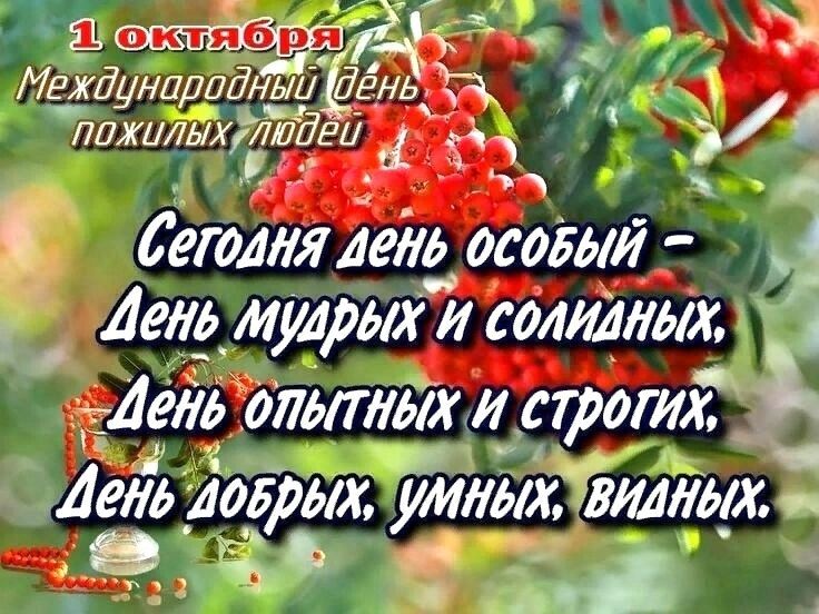 Поздравление с Днем пожилого человека | Городской округ Жуковский