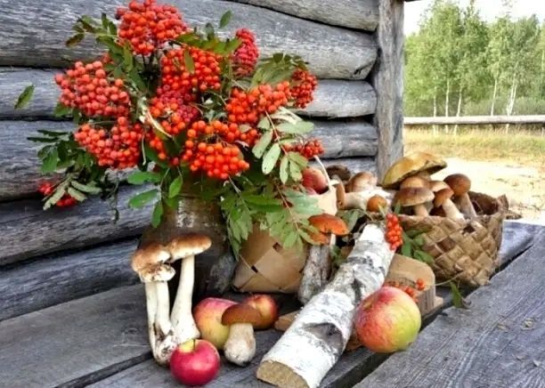 Осень, дары осени, грибы