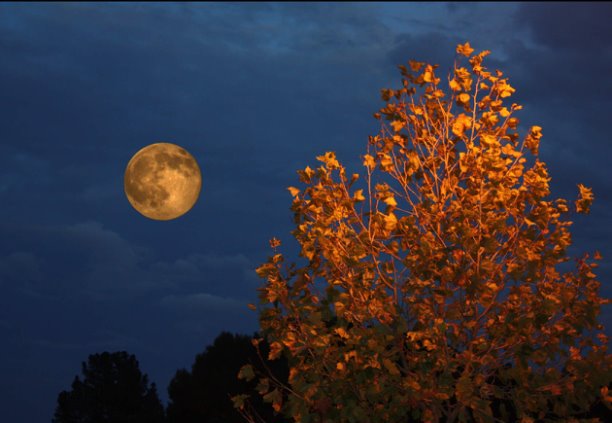 Осень, месяц (луна), ночь