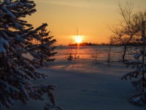 Зимний вечер в лесу