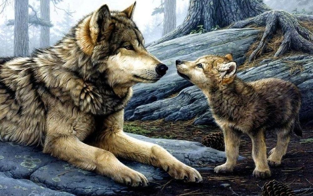 басня Волк и Волчонок