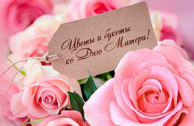 С Днем матери! Красивые поздравления для жены, бабушки, тещи, свекрови и подруги