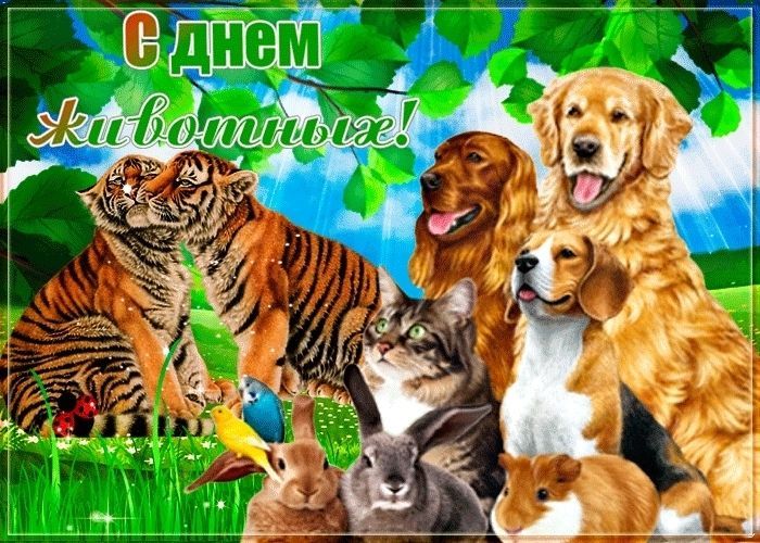 День животных