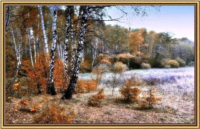 Осенний лес, поздняя осень