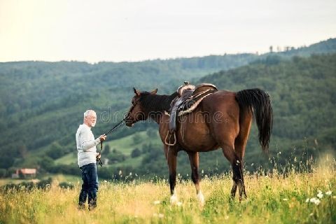 старик и лошадь