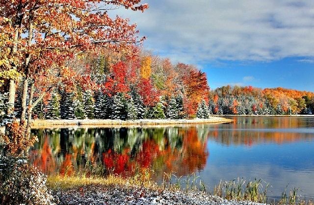 Ноябрь, осень на реке в лесу