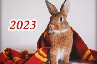 Новый год кролика