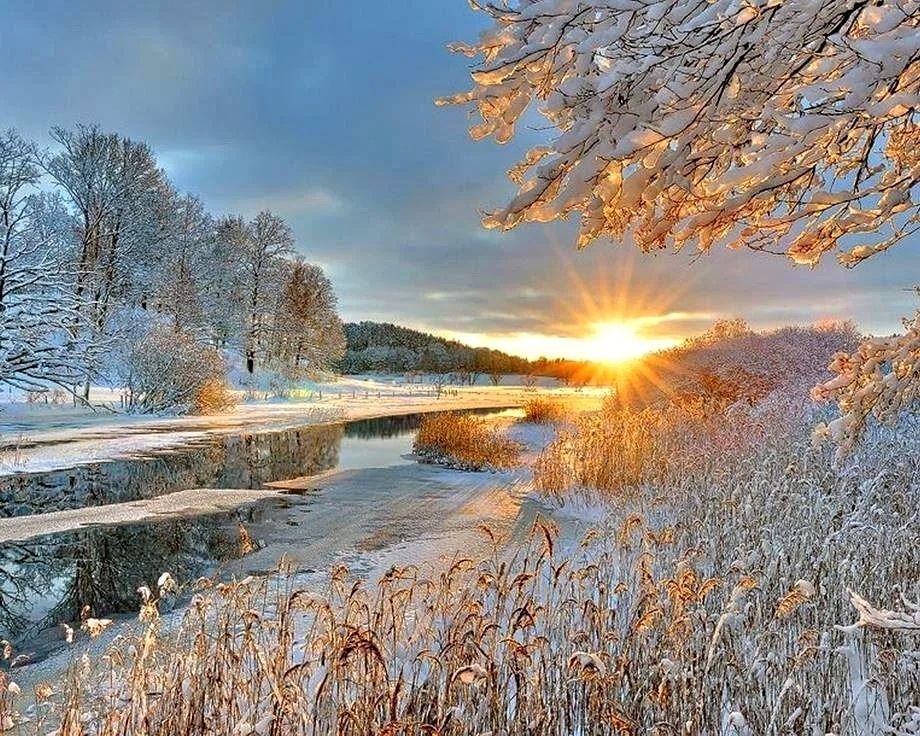 Зима, зимнее утро, зимний лес, пейзаж, природа