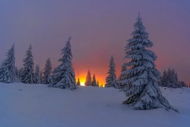 Зимний лес, зимний пейзаж