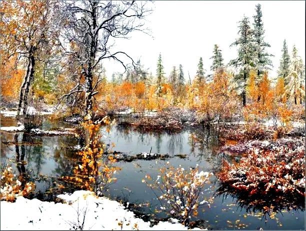 Поздняя Осень, начало Зимы, первый снег