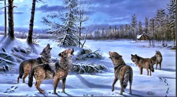 Стая волков, лес зимний, волки