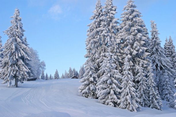 Зима, Зимняя сказка, зимний лес