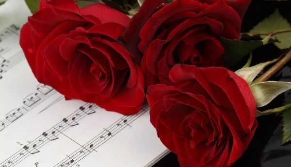 Красные розы на нотах