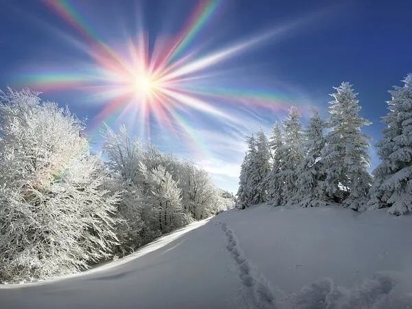 зима, снег, мороз и солнце, лес