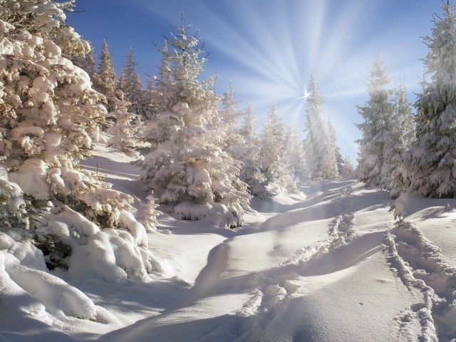 зима, снег, мороз и солнце