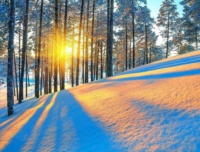 Зима, Зимний пейзаж, лес, солнце, снег