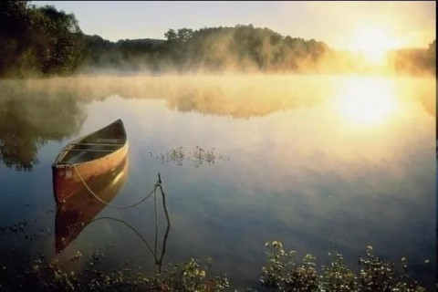 лодка, утро, река, пейзаж, природа, лето