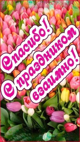 спасибо с праздником