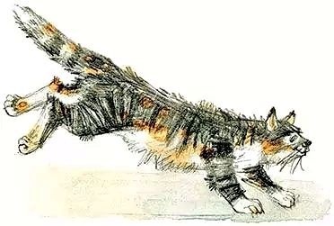 Иллюстрация к рассказу Михаила Зощенко кот Бубенчик