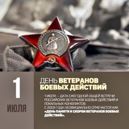 День ветеранов боевых действий