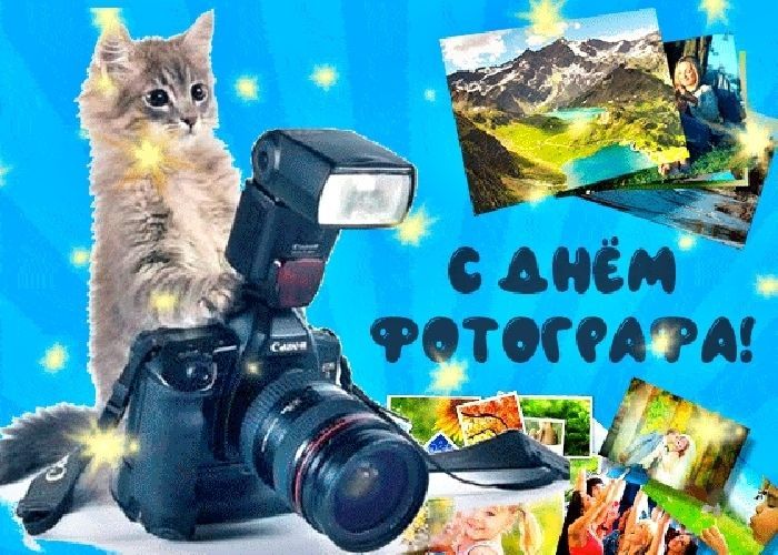 Идеи для семейной фотосессии ребенка на год