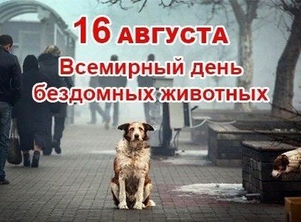 День бездомных животных