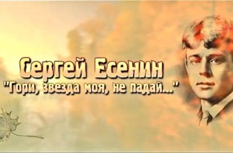 гори звезда