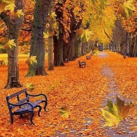 Осень, листья, Золотая Осень, парк, осенний парк или сквер, листья кружатся, осенний пейзаж