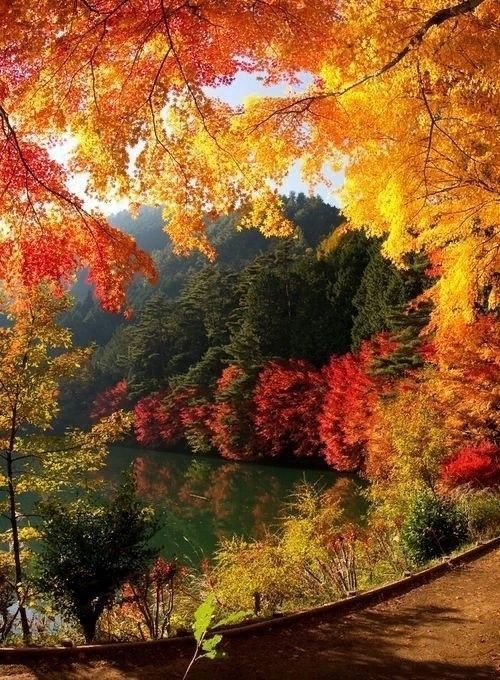 Золотая Осень, осенний парк, осенний пейзаж, природа осенью
