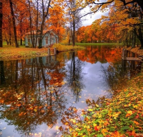 Осень, Золотая осень, пруд