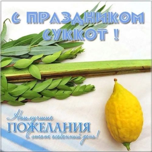 Суккот