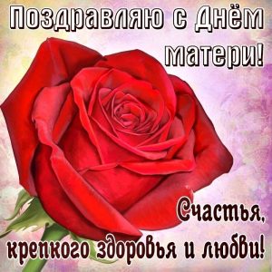 с днем матери, день матери