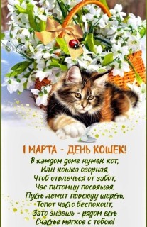 день кошек