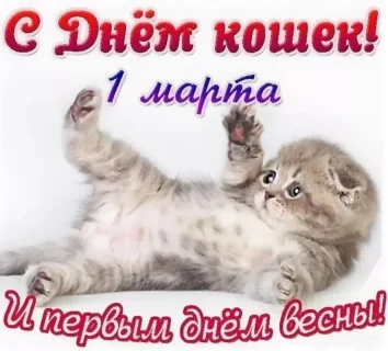 день кошек