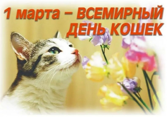 День кошек