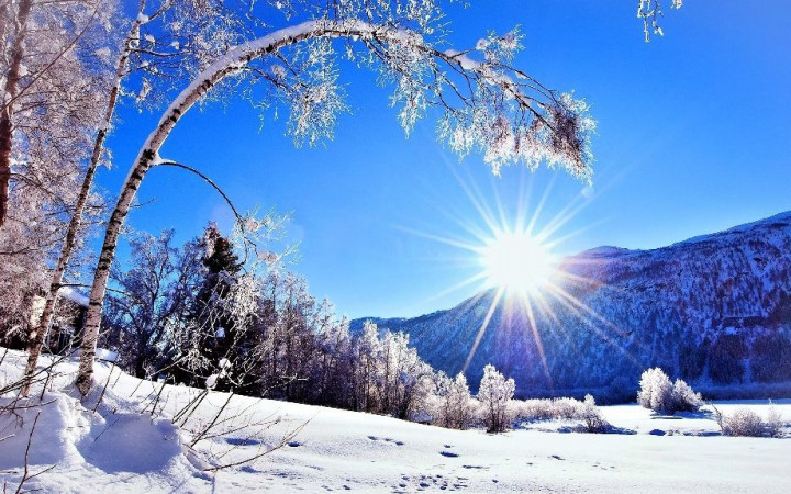 Зима, снег, солнце, лес