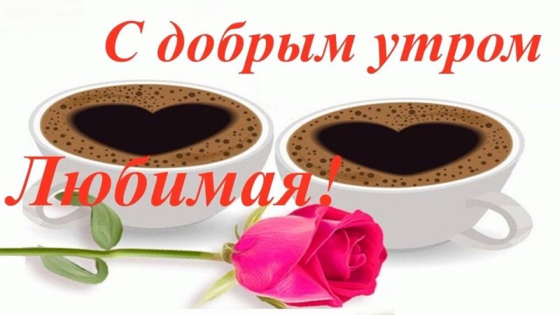 С Добрым утром, Любимая