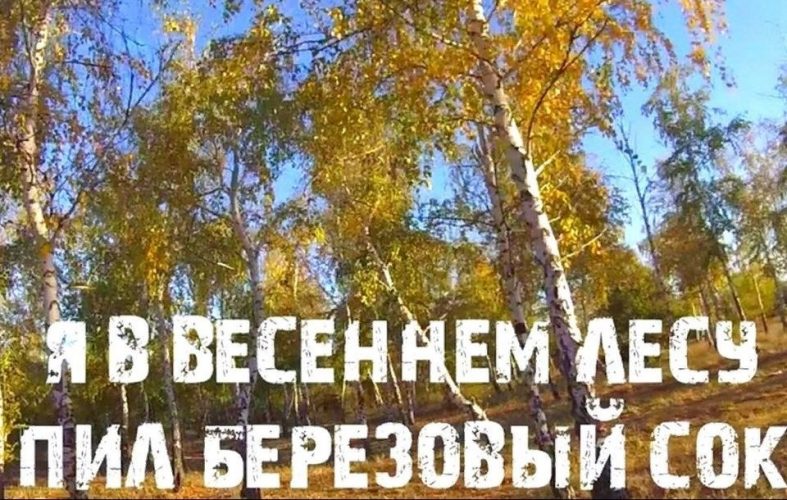 я в весеннем лесу